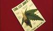 Un point cannabis à Liège